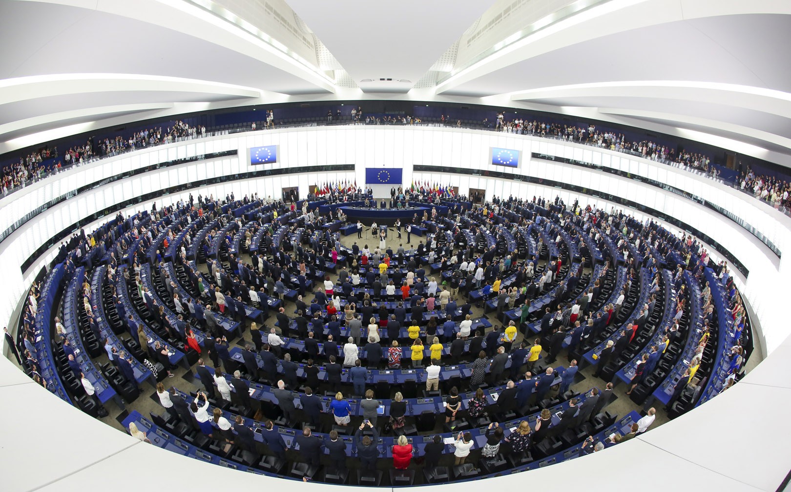 Debate sobre el Decreto Ley 35 llega al Parlamento Europeo