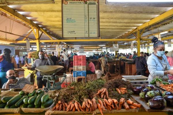 Agros online: el próximo rostro de la dolarización en Cuba